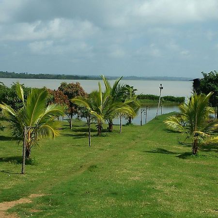 The Peepal Tree, Kabini Begūr المظهر الخارجي الصورة