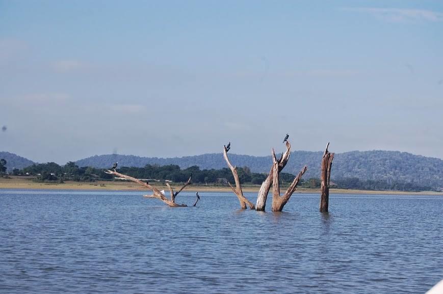 The Peepal Tree, Kabini Begūr المظهر الخارجي الصورة