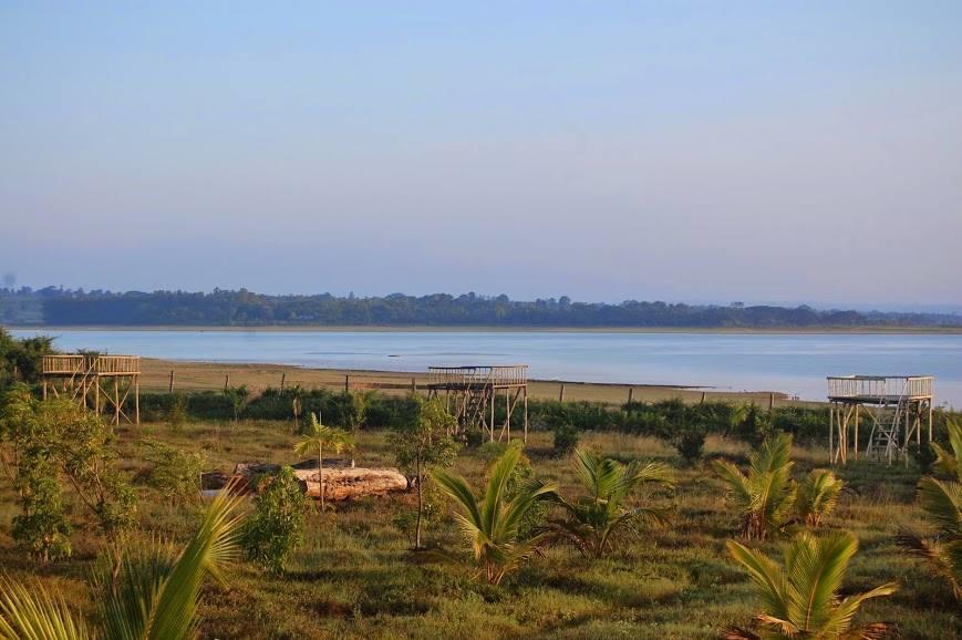 The Peepal Tree, Kabini Begūr المظهر الخارجي الصورة